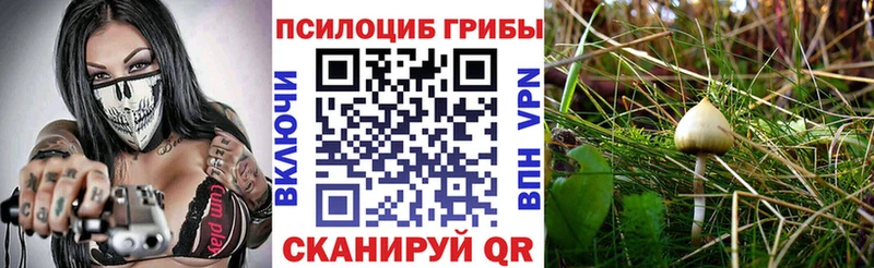 Галлюциногенные грибы ЛСД  Межгорье 